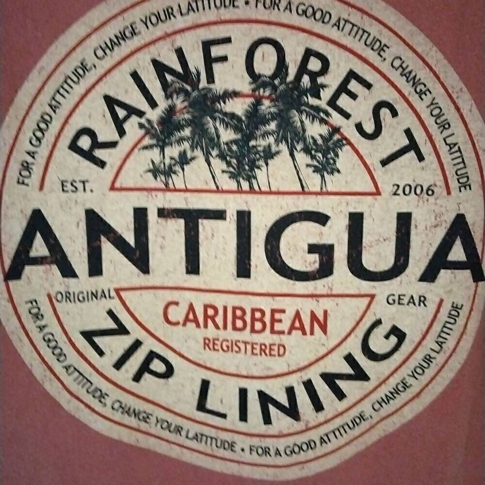 Antigua Zip Lining T-shirt, Large, Graphic, Blue 84,